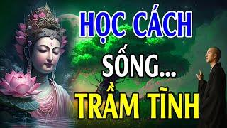 Phật Dạy Hãy Học Cách Sống Trầm Tĩnh - Tâm Trí Khi Hỗn Loạn Khó Nhìn Thấu Khi Tâm Tĩnh Sẽ Rõ Ràng