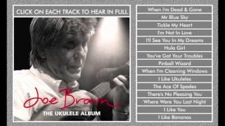 Joe Brown - When I'm Cleaning Windows - Ukulele Album