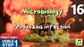 USMLE || First Aid Step 1, Microbiology *Protozoa infection *#usmlestep1videos #usmlestep1