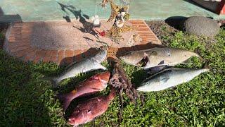 Everything we could ask for spearfishing Hawaii on Fishmas! Mele Kalikimaka -catch & cook-