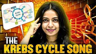 Learn Krebs Cycle like Never Before #pwenglish #krebscycle