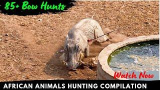 85+ Animals Down — Antelope’s , Lion, Giraffe *2023* (African Bow Hunting Compilation)