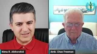 Amb. Chas Freeman: Israel Committing Suicide by Invading Lebanon - UN, Russia, Ukraine & Iran