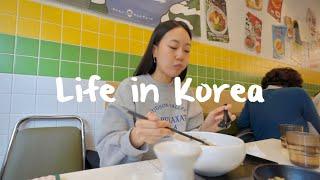 KOREA TRAVEL VLOG | hanok cafe, things to do in sokcho, 90th birthday surprise