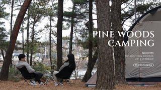 Quiet winter camping in a pine forest