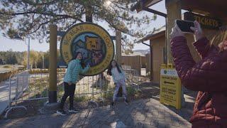 Visit the Big Bear Alpine Zoo this Fall!