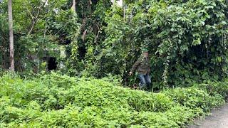 Cut overgrown trees CLEAN UP to revive abandoned storm house - SHOCK TRANSFORMATION