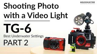 Olympus TG-6 | Shooting Photos with a Video Light | Best Underwater Camera Settings: Part 2