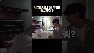 [스트레이키즈/한/현진]쿼카는 원래 이렇게 애교가 많나요?