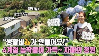 [ SUB ] 자매의 텃밭 정원 The Sisters'  Vegetable Garden | 정원의 발견 Wonders of Garden | KBS제주20230721방송