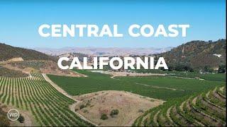 Diving Into California's Central Coast Wine Region