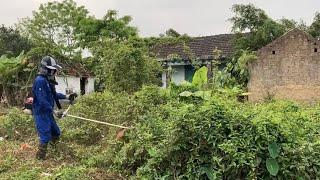 Clean Up Abandoned House, Cut Overgrown Grass, Clean Cactus Climbing On The Roof