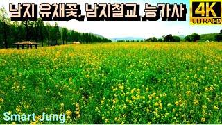 남지 유채꽃 | 남지철교 | 능가사 | 드론영상