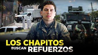 "LOS CHAPITOS" amplían su RED DE PODER con el respaldo de Los Ontiveros y Cabrera Sarabia