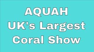 The UK’s Largest Ever Coral Show - I'm going... Are you?