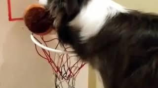 Playing Basketball 