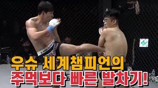 우슈 세계챔피언의 주먹보다 빠른 발차기!_A kick faster than the fist of Wushu World Champion!