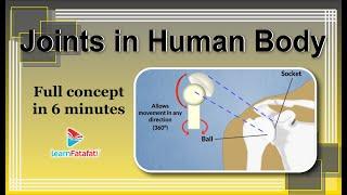 Class 6 Science Body Movements - Joints in Human Body - LearnFatafat