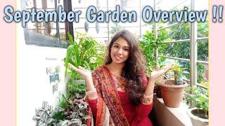 September Garden Tour (100+ Plants in Small Balcony)