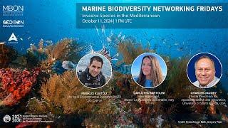 Marine Biodiversity Networking Friday on Invasive Species in the Mediterranean