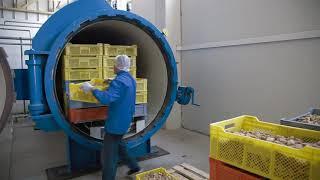 FİRMA TANITIM VİDEOLARI - İSPANYOLCA -TARİŞ İNCİR BİRLİĞİ