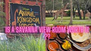 Disneys Animal Kingdom Lodge Savanna Room AND Sanaa REVIEW 2024 #disney #2024