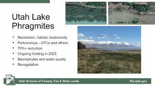 Managing Wetland Vegetation of Utah Lake, Jordan River & Great Salt Lake (2023 Watershed Symposium)