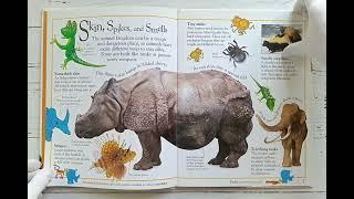 Обзор книги The Really Amazing Animal Book #booklya.books