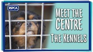 Meet the Centre - The Kennels