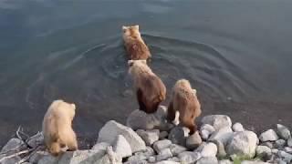 Brooks Falls Lodge in Katmai NP and Ice Cave in Spencer Glacier