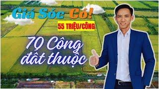 Bán đất ruộng Kiên Giang 70 công giá chỉ 55 triệu/công tại Kiên Lương | Lê Văn Mép