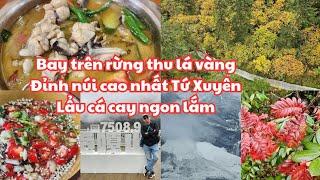 Tứ Xuyên #8: Bay trên Rừng lá thu vàng ĐẸP MÊ MẪN, Đỉnh núi cao nhất Thục Sơn 7556m, Lẩu cá cay ngon