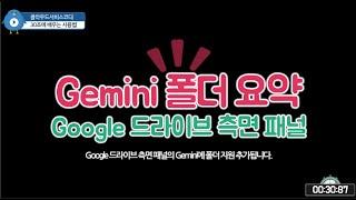 Google 드라이브 측면 패널에서 Gemini가 폴더의 내용을 요약해줍니다