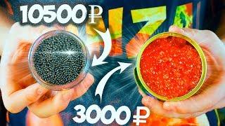 EXPENSIVE BLACK CAVIAR VS RED CAVIAR