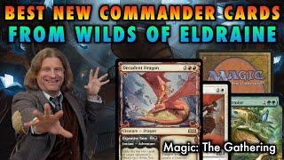 Best New Commander Cards From Wilds OF Eldraine! | Magic: The Gathering