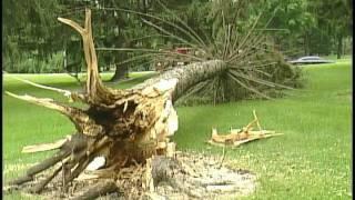 Nathan Hoffman - Golf Course Clean Up