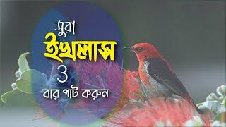 সূরা ইখলাস -সহি শুদ্ধ উচ্চারণ শিখুন বাংলা অর্থ সহকারে  ️ SURAH AL IKHLAAS️سورة الإخلاص