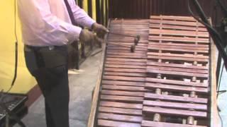 Diego Alberto Palacios Gonzalez - la bamba con marimba