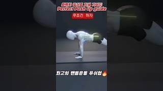 Hoe to the Perfect Push Up,  푸쉬업의 정석 #pushups #pushup #pushupchallenge #푸쉬업 #푸쉬업챌린지 #팔굽혀펴기 #shorts