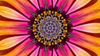 The Splendor of Flowers Kaleidoscope Video Beta v1 - 75 Minutes of Peace - A Jubilee for All Nations