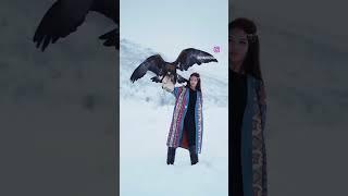 #falcon #birds #eagleowl #berkut #eaglehunt #goldeneagle #eaglehunting #hawk #berkut