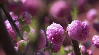 Der besondere Ort: Bibelgarten in Berching