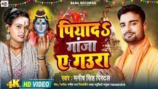 पिया द गांजा ये गउरा | new bolbum song | Manish Singh pistal bolbum song | piyad ganja ye gaura