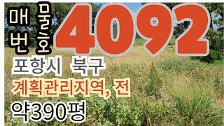 390여평, 농지(전), 바다 앞.