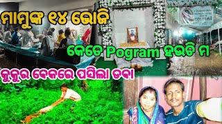 ମାମୁଙ୍କ 14 ଭୋଜି || କେତେ pogram ହଉଚି ମ || Odia Vlog || Couple Vlog || Dally Vlog ||