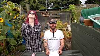 Dave's Allotment Birthday Special. Potatoes, Parsnip Reveal & Thanks.