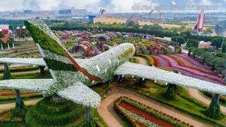 Dubai Miracle Garden #2024!