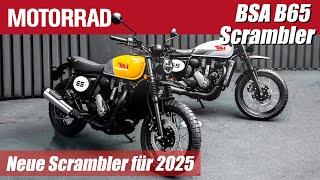 BSA B65 Scrambler | Motorcycle Weekly Review #153