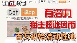 CatSlap $SLAP 猫主题迷因币 初始百万流动性池子 刚刚上线 #shiba #pepe #迷因 #gamefi #区块链游戏 #dogecoin #shiba