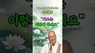 법륜스님이 알려주시는 기도방법 I 하루를 여는 기도 방법